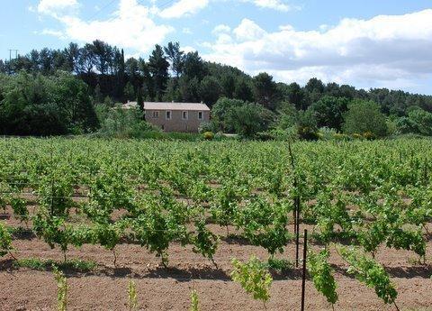 Bed and Breakfast Domaine De "Creva-Tinas" Mailhac Exterior foto