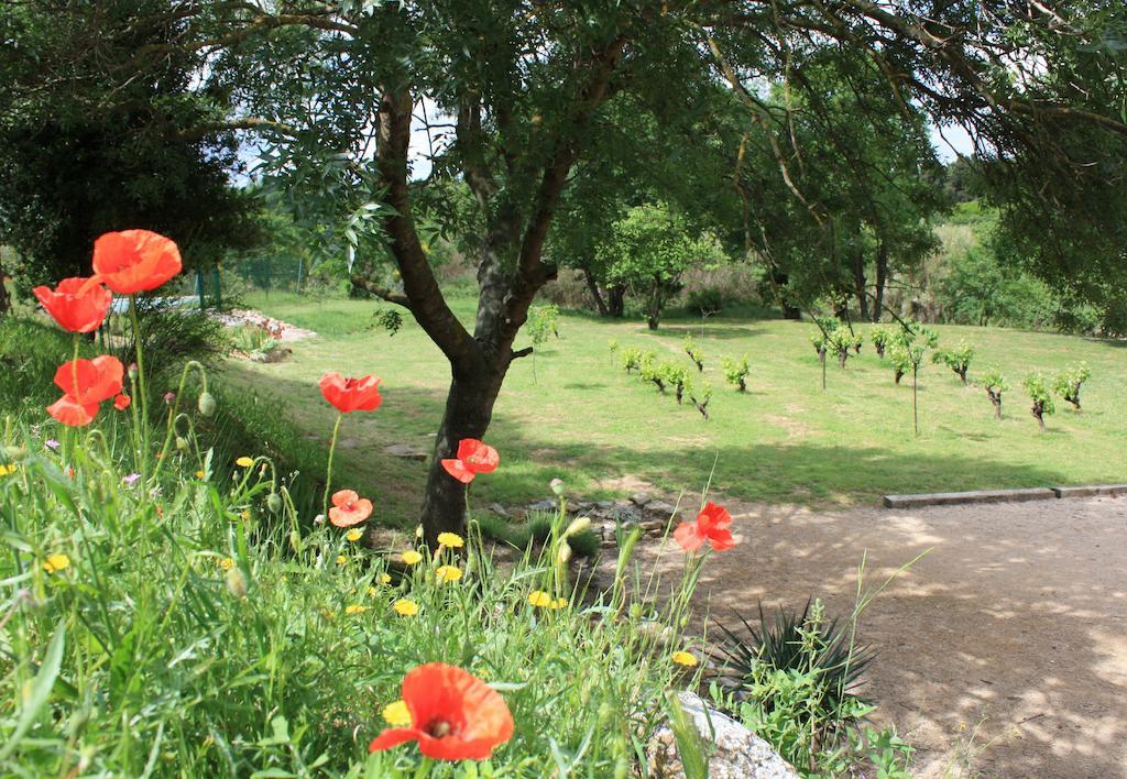 Bed and Breakfast Domaine De "Creva-Tinas" Mailhac Exterior foto